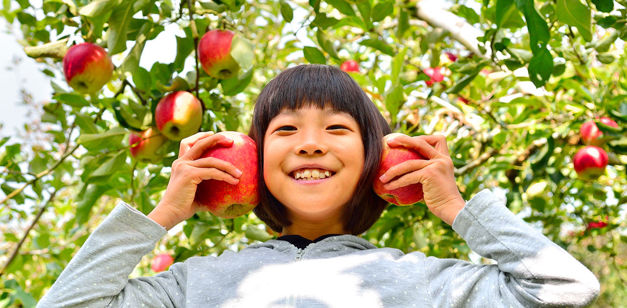 Apple Hill