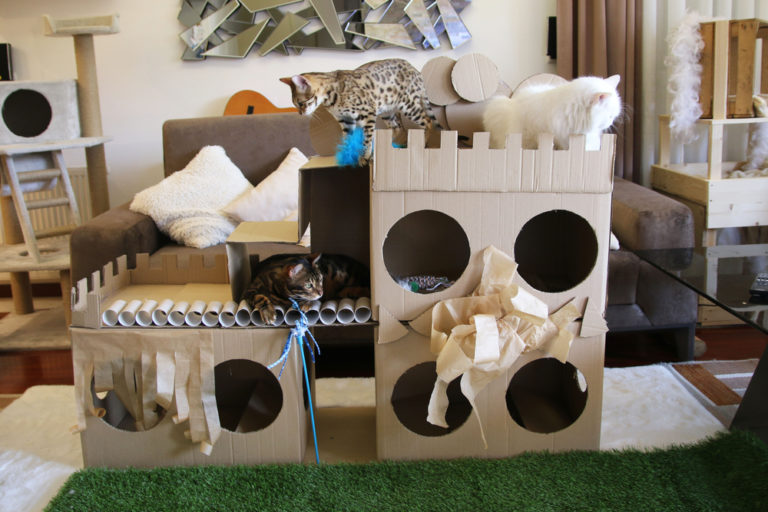 cat-tree-house
